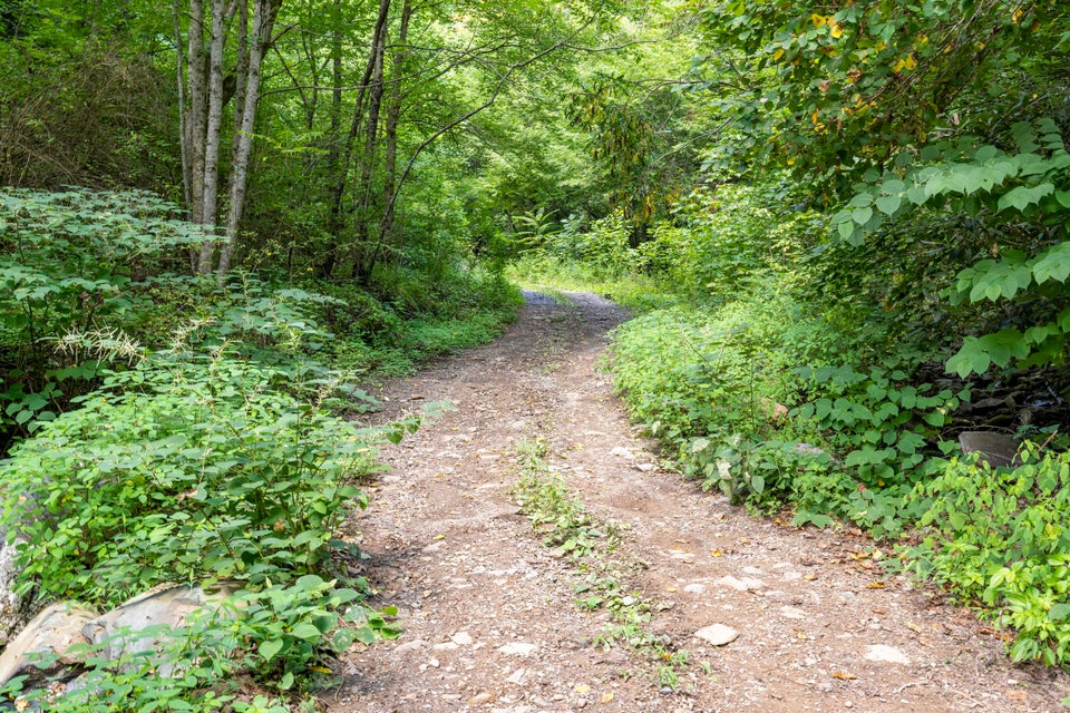 Photo #15: Tbd Pinnacle Road