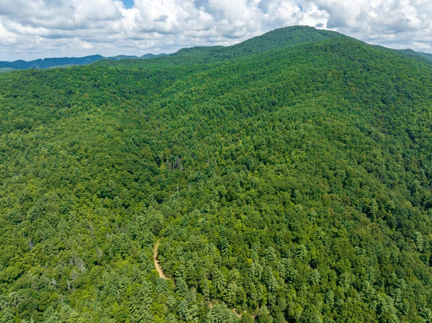 Photo #18: Tbd Pinnacle Road