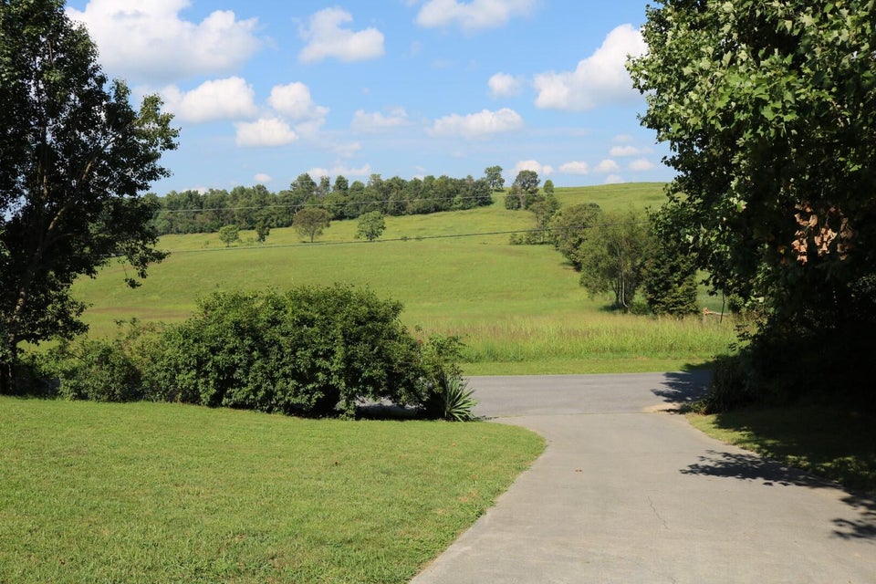 Photo #33: 1945 Morrison Road