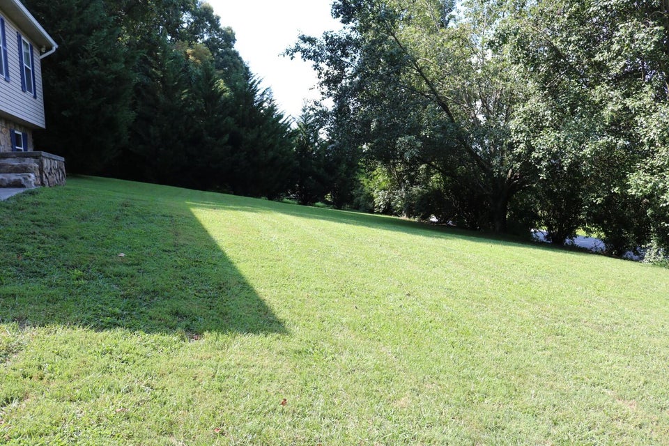 Photo #34: 1945 Morrison Road