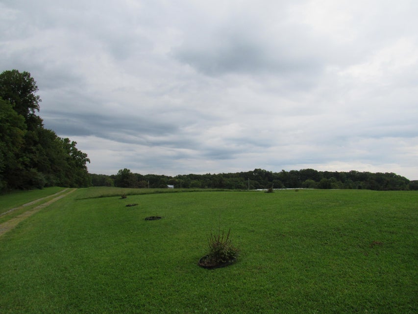 Photo #63: 10704 Coeburn Mountain Road