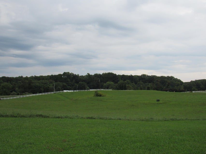 Photo #70: 10704 Coeburn Mountain Road