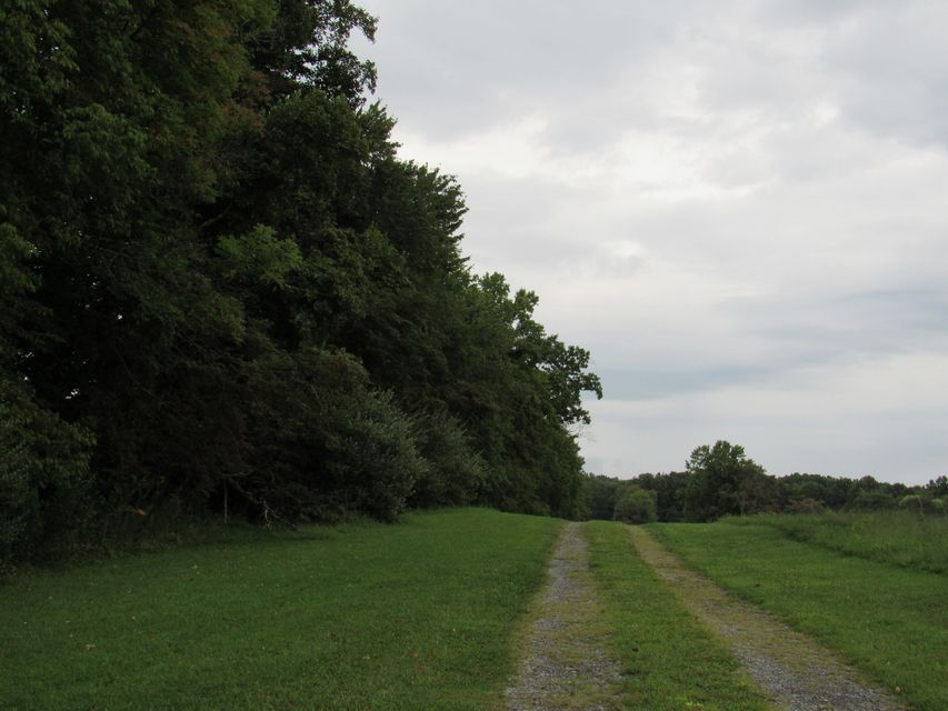 Photo #57: 10704 Coeburn Mountain Road