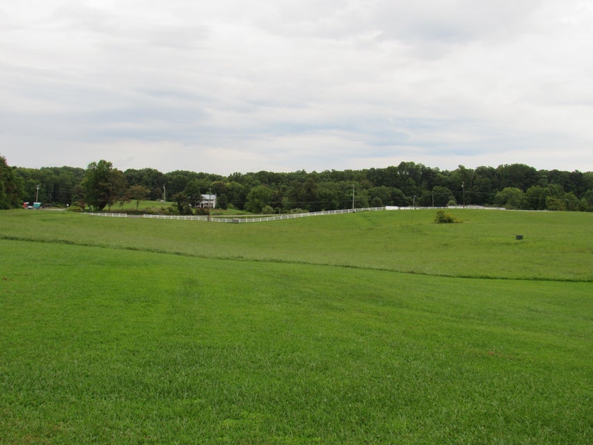 Photo #83: 10704 Coeburn Mountain Road