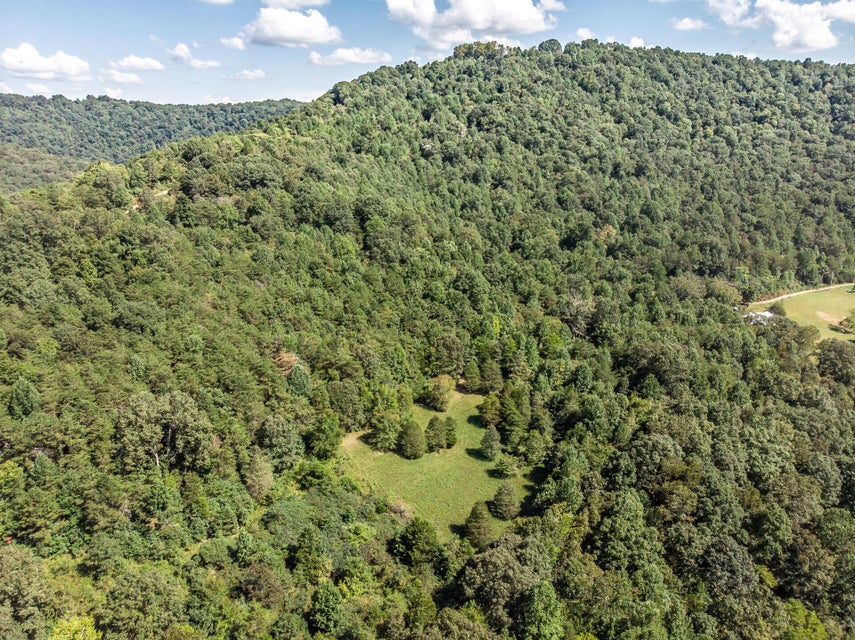 Photo #81: 1370 River Ridge Lane