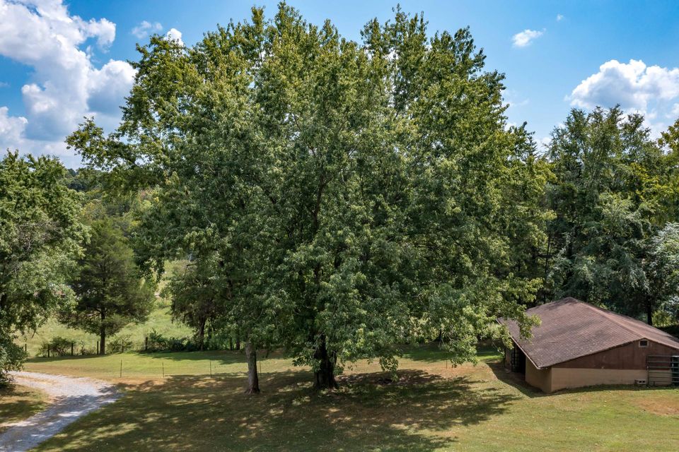 Photo #39: 1160 Woolsey Road