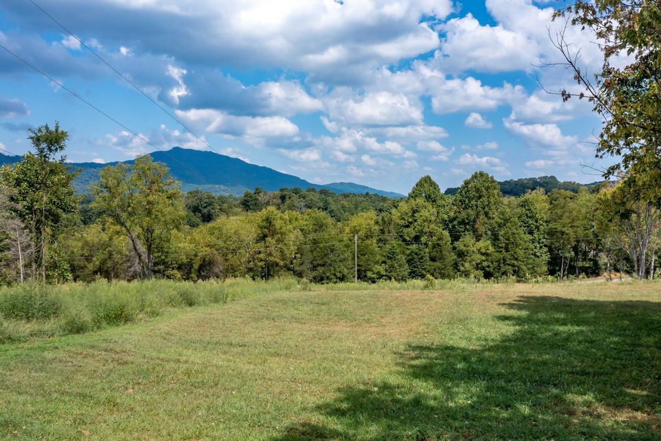Photo #54: 1160 Woolsey Road
