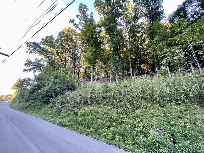 Photo #4: Tbd Whispering Pines Road