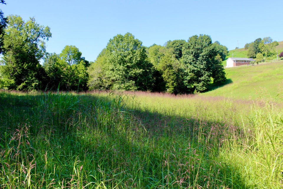 Photo #52: 312 Deep Hollow Drive