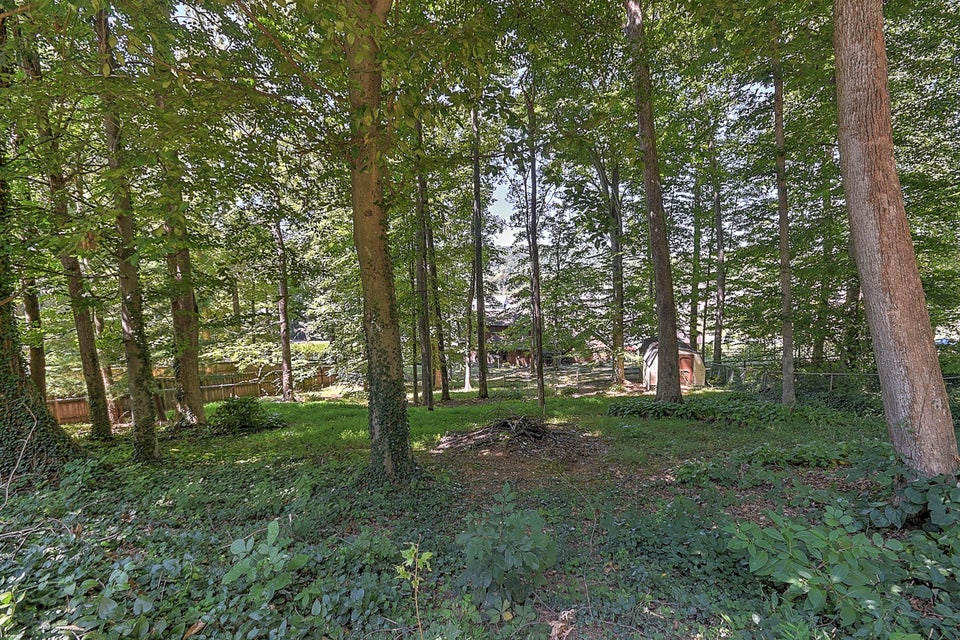 Photo #50: 347 Cain Drive