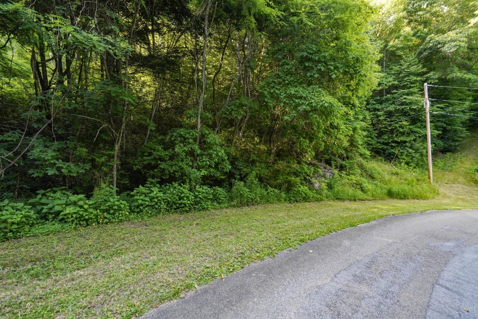 Photo #3: Lot 7 Laurel Highlands Drive