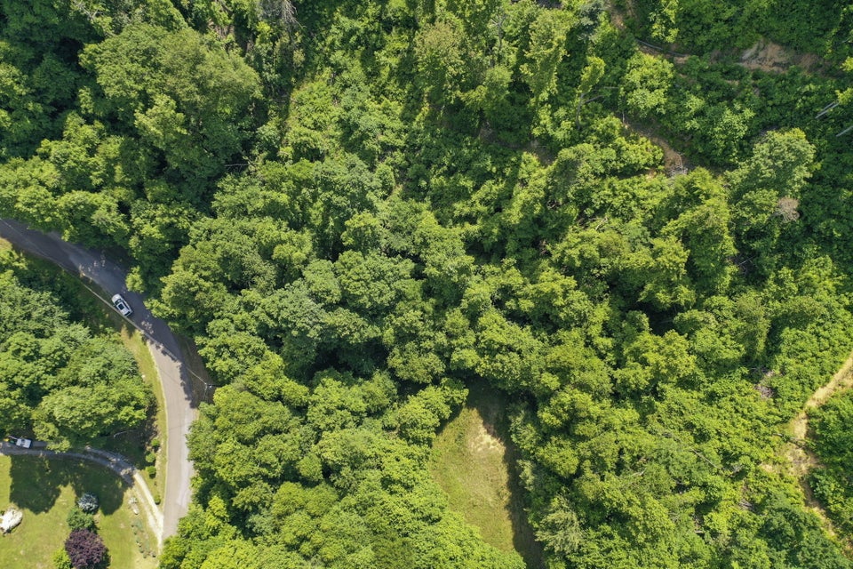 Photo #5: Lot 7 Laurel Highlands Drive
