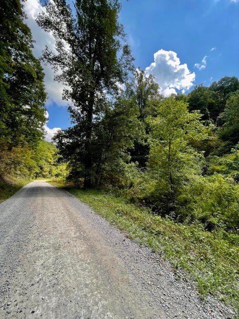 Photo #8: 7294 Wolf Run Road