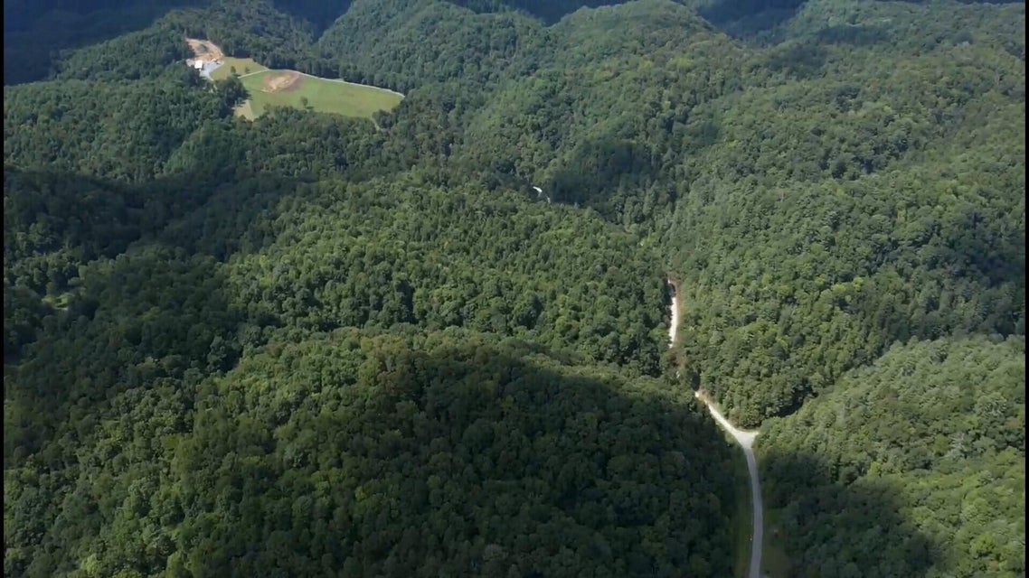 Photo #12: 7294 Wolf Run Road