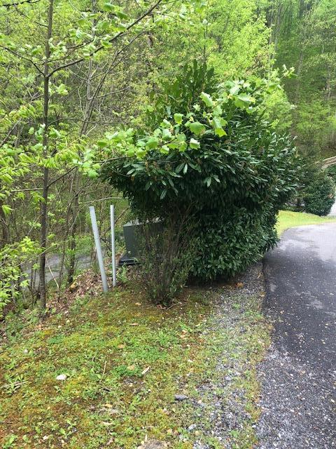 Photo #17: Lot 1 Gordon Ridge Road