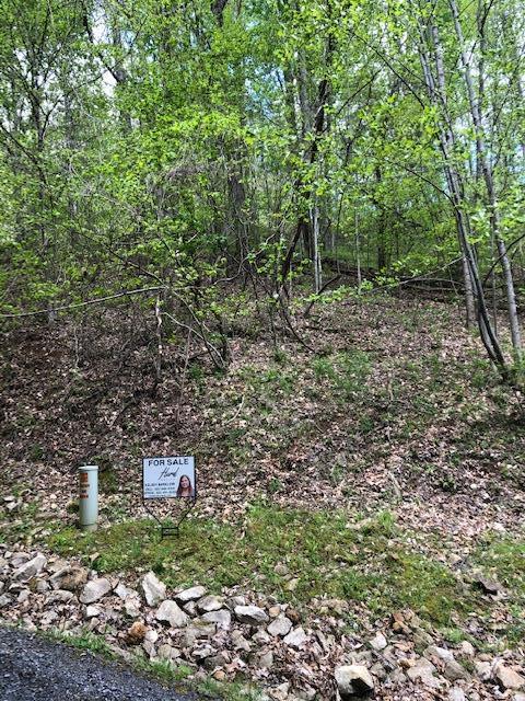 Photo #18: Lot 1 Gordon Ridge Road