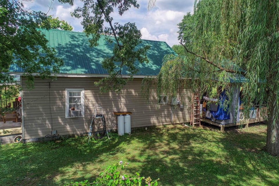 Photo #19: 113 Devault Street