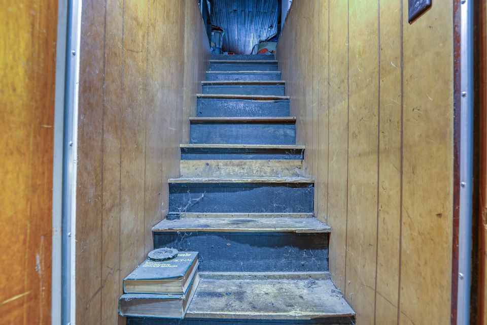 Photo #39: 113 Devault Street
