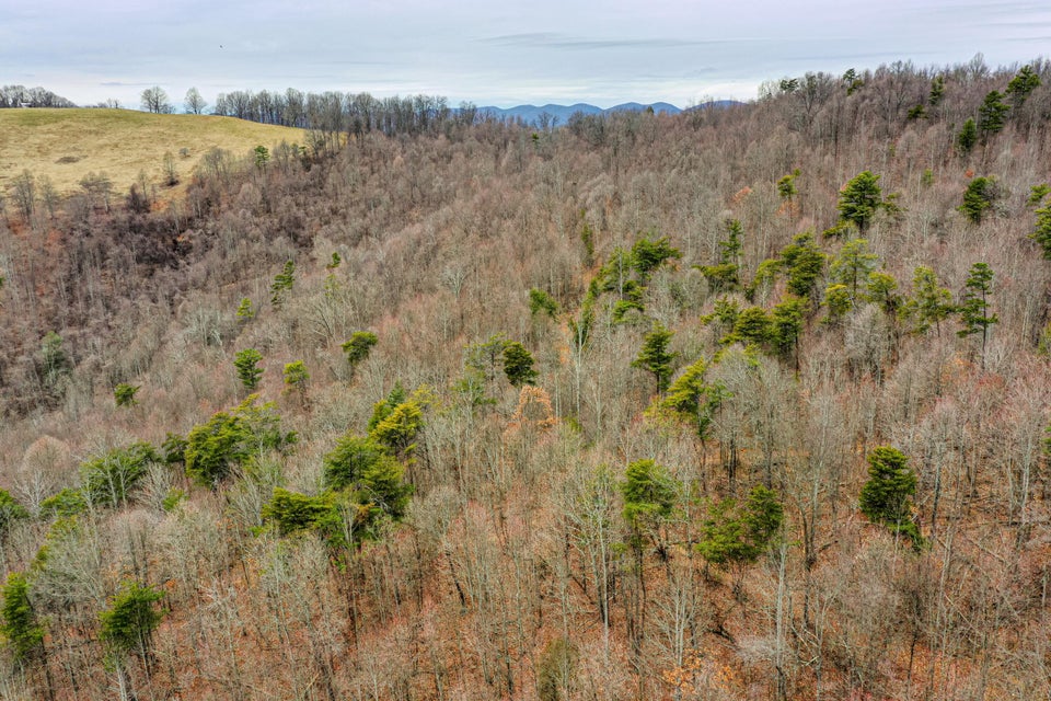 Photo #15: Tbd Dettor Road
