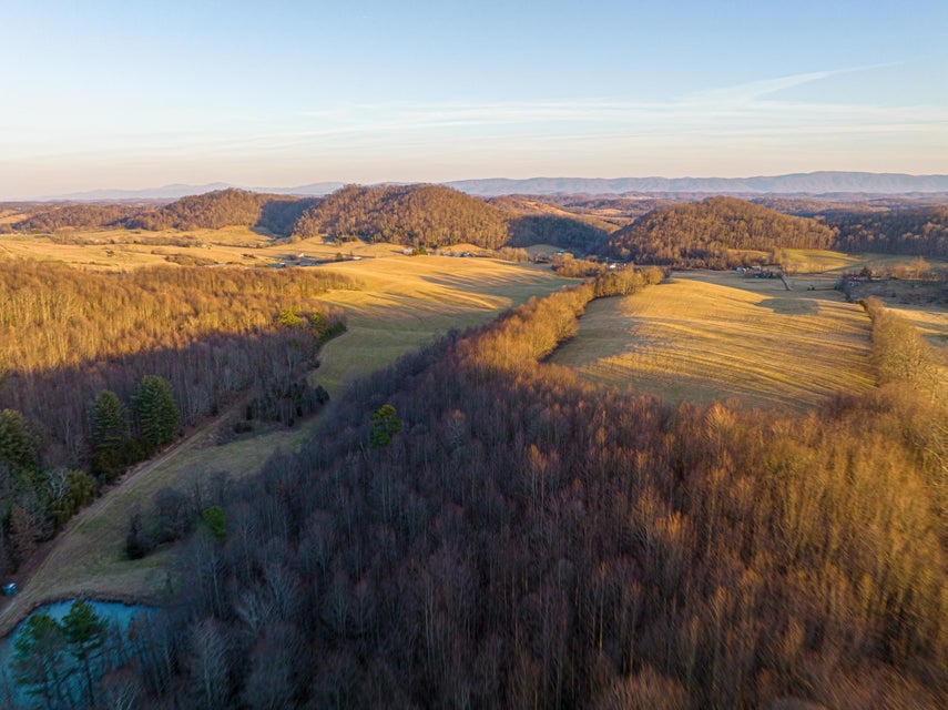 Photo #34: Tbd Dettor Road
