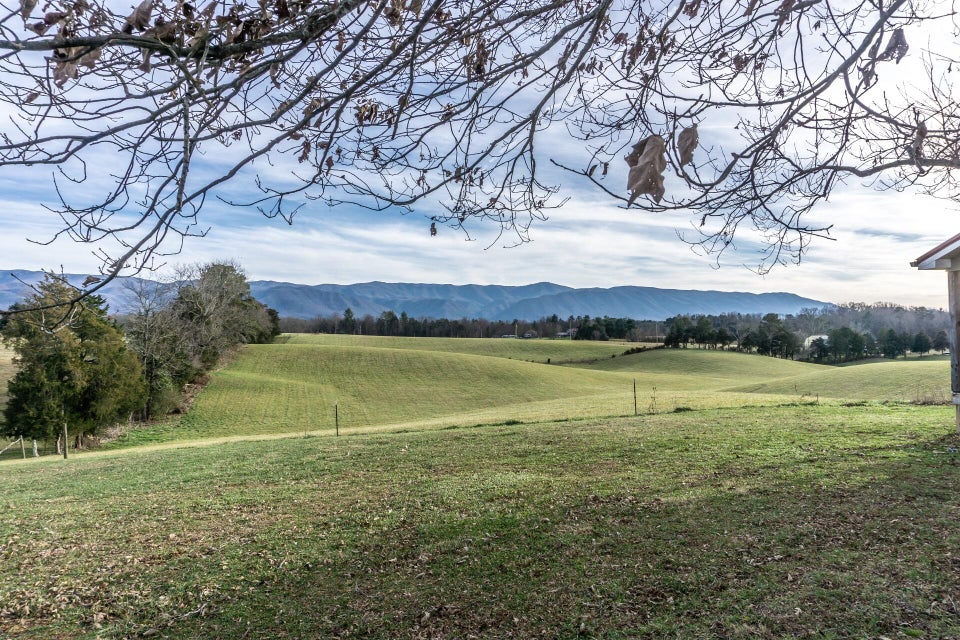 Photo #3: 550 Calico Road