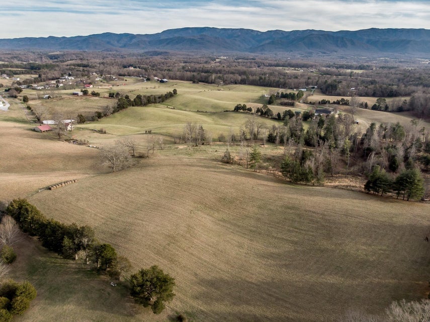 Photo #51: 550 Calico Road