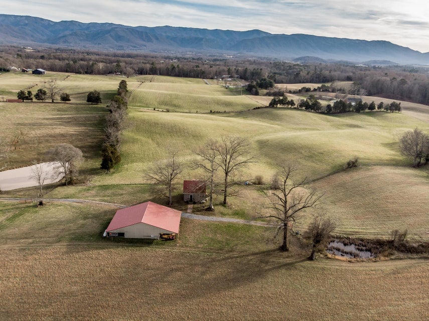 Photo #55: 550 Calico Road