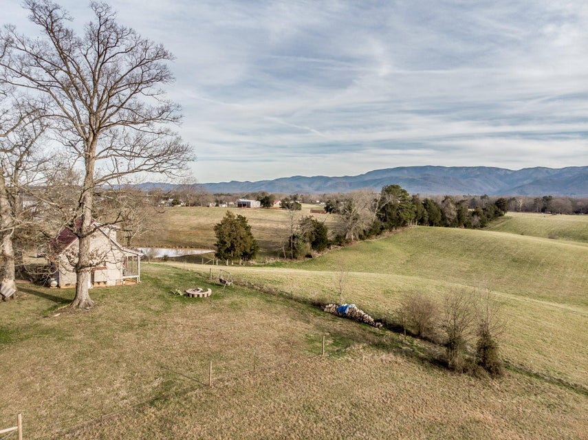 Photo #67: 550 Calico Road