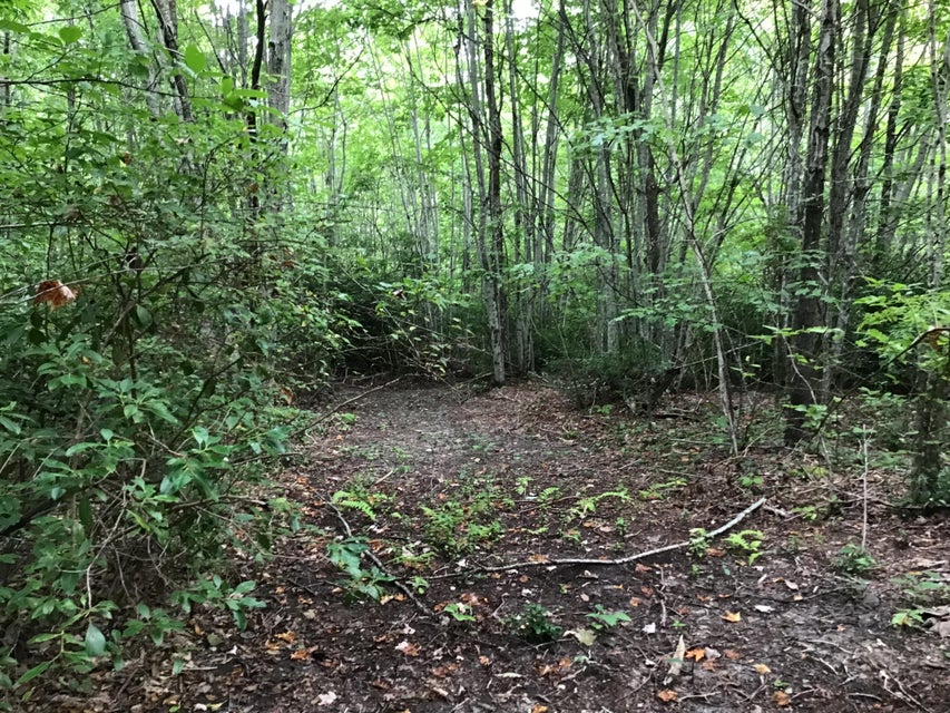Photo #7: Tbd Bobcat Drive