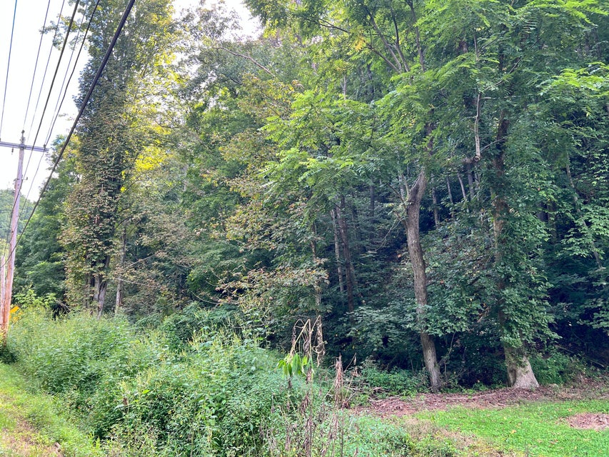 Photo #2: 5.2 Acres State Highway 19e