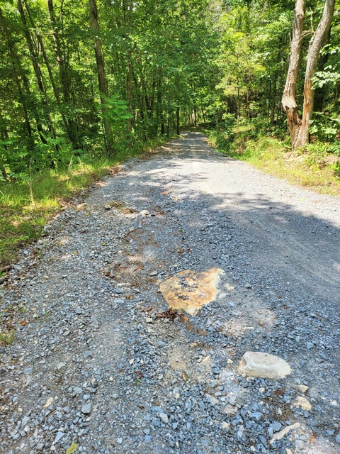 Photo #35: 321 Bays Mountain Road