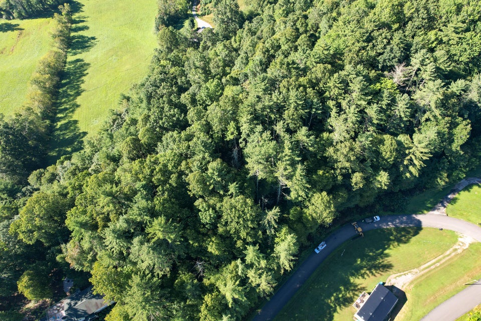Photo #5: Tbd Cedar Street