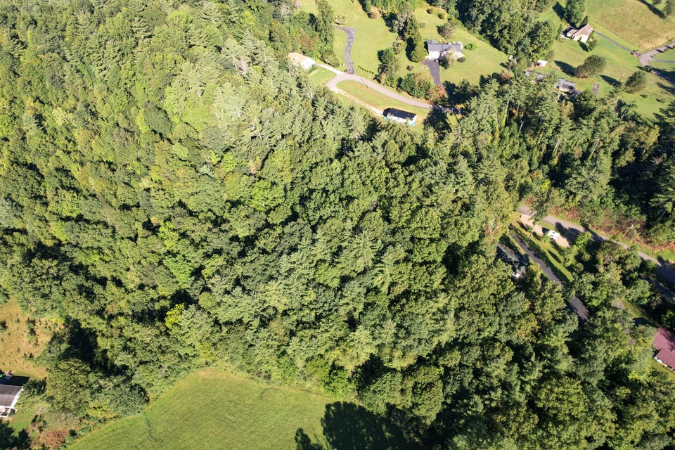 Photo #8: Tbd Cedar Street