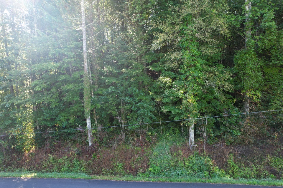 Photo #16: Tbd Cedar Street