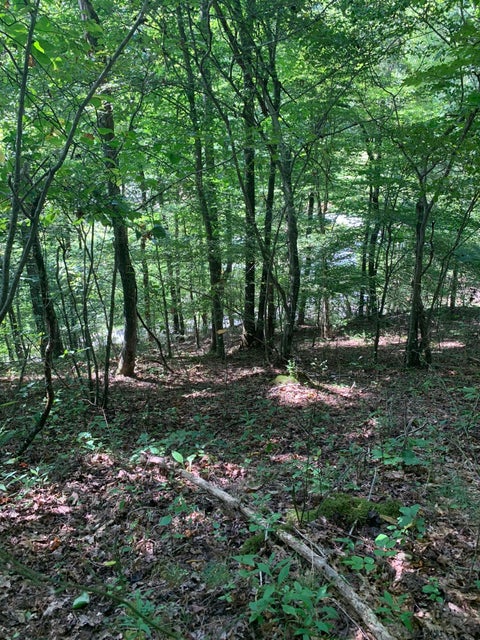 Photo #10: 3716 Sink Valley Road