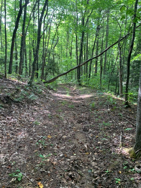 Photo #26: 3716 Sink Valley Road