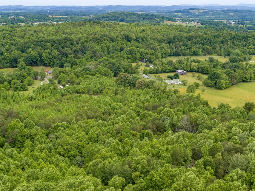 Photo #6: 000 Painter Creek Road
