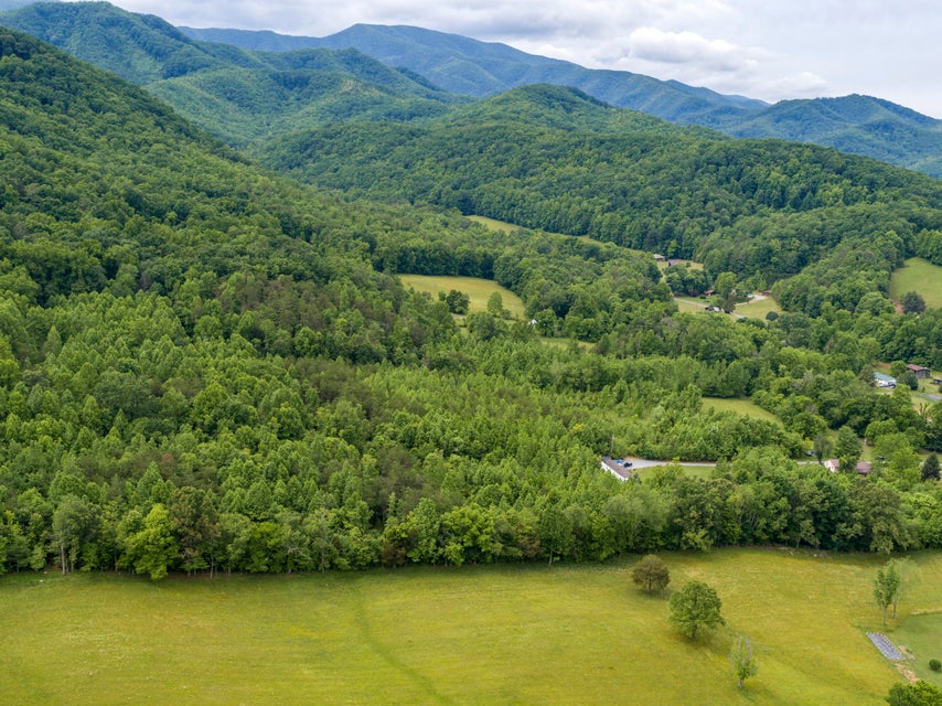 Photo #10: 000 Painter Creek Road