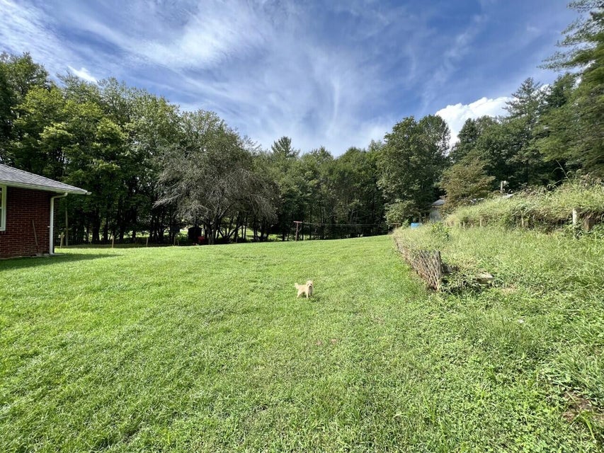 Photo #11: 13151 Crab Orchard Road