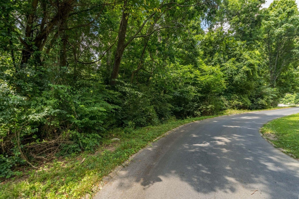 Photo #15: Tbd Herrin Drive