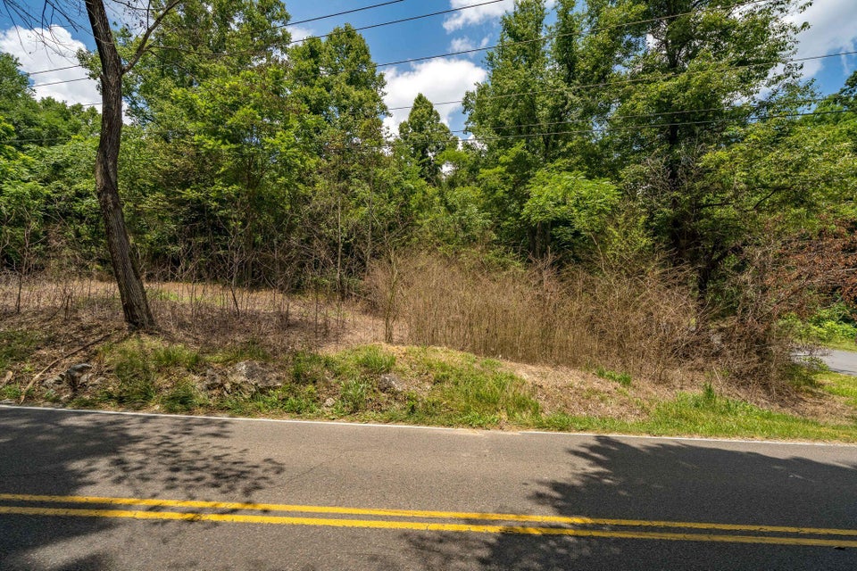 Photo #18: Tbd Herrin Drive