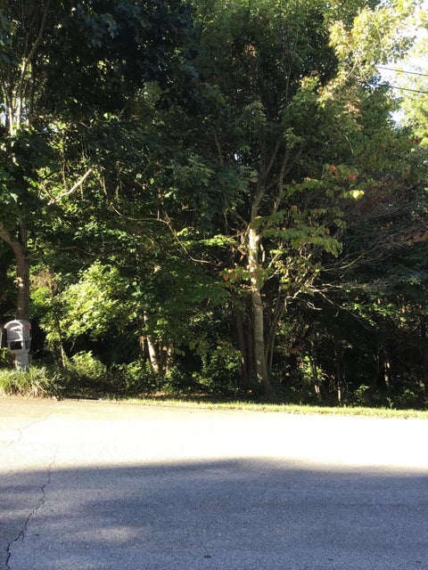 Photo #2: 0 Sioux Trail