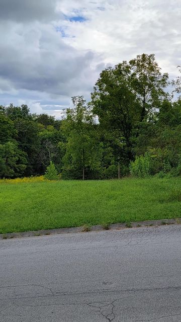 Photo #2: 178 Warrior Falls Drive