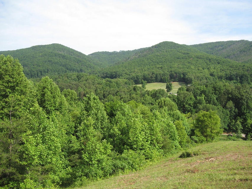 Photo #18: 01 Houston Valley Road