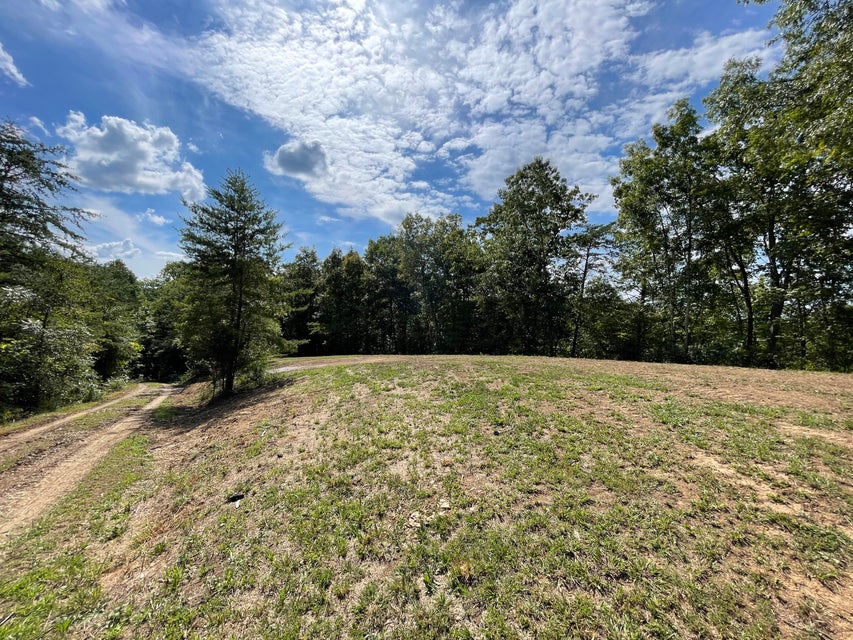 Photo #8: Tract 1-2 Upper Rinehart Road