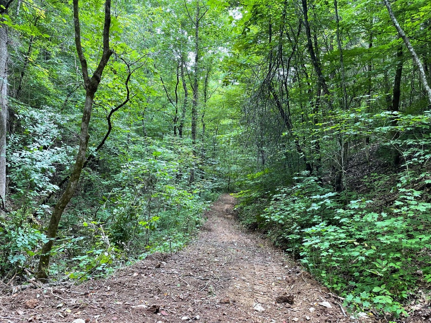 Photo #29: Tract 1-2 Upper Rinehart Road