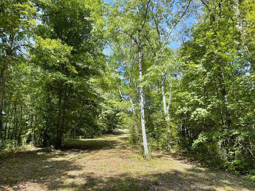 Photo #32: Tract 1-2 Upper Rinehart Road