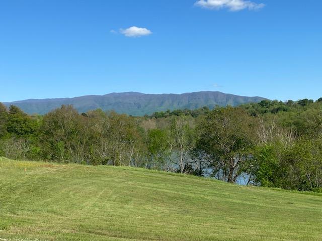 Photo #7: 00 River Pointe Dr Lot 94