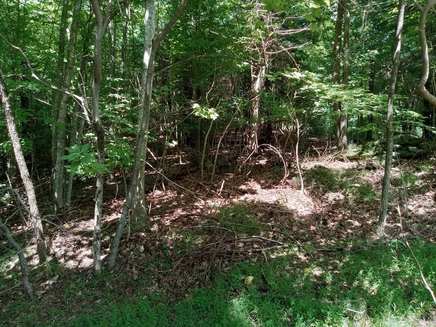 Photo #9: Tbd Chestnut Ridge Trail