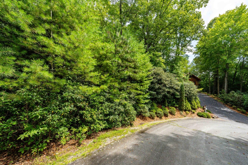 Photo #37: 358 Ivy Wood Lane